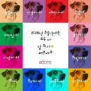 대구학생문화센터 수영장 이미지