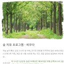 힐링투어여행 이미지