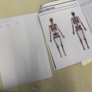 언니네 | 창원 가음정 피티 첫수업 후기 언니네필라테스 창원가음정점에서 체형교정 시작!