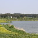 경포저류지 이미지