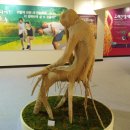금산인삼 이미지
