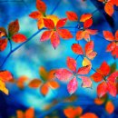 미유의원 이미지