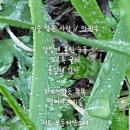 오라버니 이미지