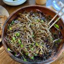 명정 | 대전 봉명동 기름냉면 맛집｜이관복명정냉면 직접 다녀온 솔직 후기 (내돈내산)