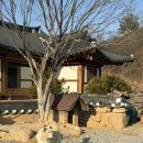 삼촌 스테이 | [영주 풍기] 한옥스테이 도원재 후기｜뷰에 쉬어가는 진짜 한옥 숙소