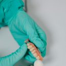 천안더맑은치과의원 이미지