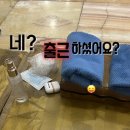 현대한증막 이미지