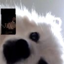 태백산맥 만나고 쪽갈비 이미지