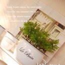 저그머그 이미지