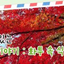 식물이야기 이미지