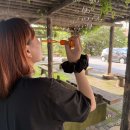 홍익대학교(교직원식당) | 후회따윈 필요없어 난 ᕦ(ò_óˇ)ᕤ (September)
