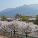 덕풍천서로 이미지