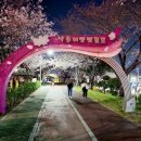 낙동제방 이미지