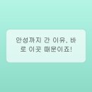 안성가정육