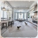 구리동물보호센터 이미지