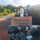 조끄띠 | 제주도 동쪽 숙소 추천 제주 구좌 평대해변 근처 평대대수굴바당조끄띠 (평대바조) 후기