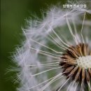 참행복한요양원 - 진주시 | 참행복한요양원