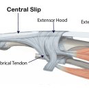 참좋은의원 이미지