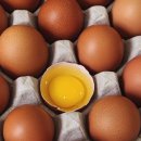 깊은내농장 이미지