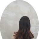 디하문바이공주 이미지