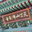 [투자의 네 기둥] _ 윌리엄 J. 번스타인