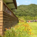 무궁화농장 이미지