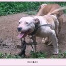 번암농장 이미지