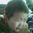 호룡농장 이미지