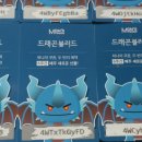 드래곤 홈트