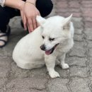 용문산그린펜션 이미지