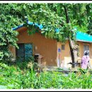 일광 튠업정비센타 이미지