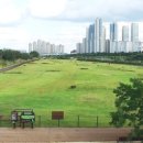 주경기장 잔디구장 이미지