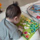 시원농장 | 어스본 사운드북 후기｜동물농장·시원한 바닷가·호두까기 인형 비교