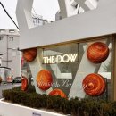 [신사동 카페] 신사 가로수길 베이커리 카페 더도우 (the dow) 내돈내산 후기 (종류, 가격)