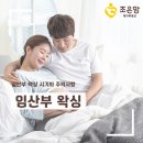 수출대로-48 | 임산부 왁싱 필요할까? 임산부 왁싱 시기와 주의사항