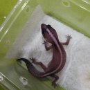 와우펫앤쥬(기장점) 이미지