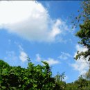 알프스 PC 이미지