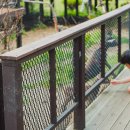 스파벨리스 이미지