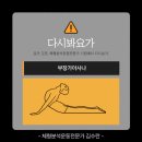 도서출판 선 요가