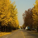 비비큐 하남풍산힐즈파크점 | 하남시 미사강변도시, 스타필드, 캠핑명소