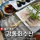 홍언지김밥 | 울산 명촌 회 맛집 <강동회수산> 후기 (내돈내산)
