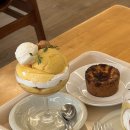 베어베이크 이미지