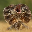 진주스토리 이미지