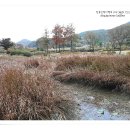 가대생태습지공원 티스토리