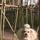 다나아 동물병원 이미지