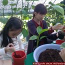 삼성농장 2 이미지