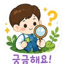비드브레인