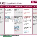 씨에스소매
