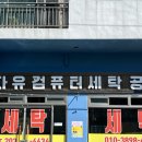 자유컴퓨터세탁 이미지