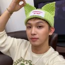 파란잎 이미지